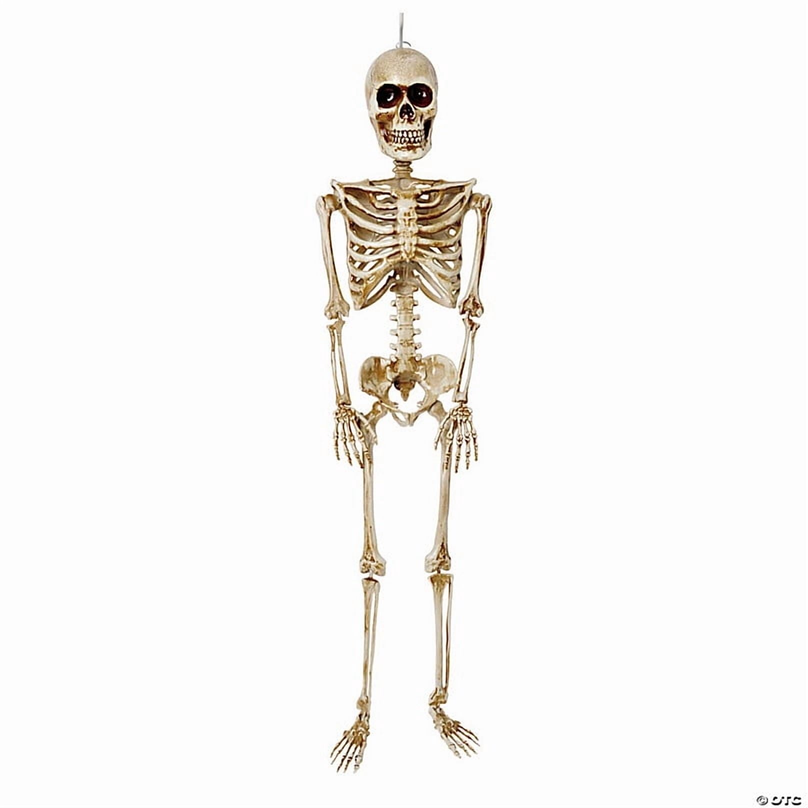 Morris Costumes - 36" Posable Articulated Skeleton Halloween Decoration - One Size