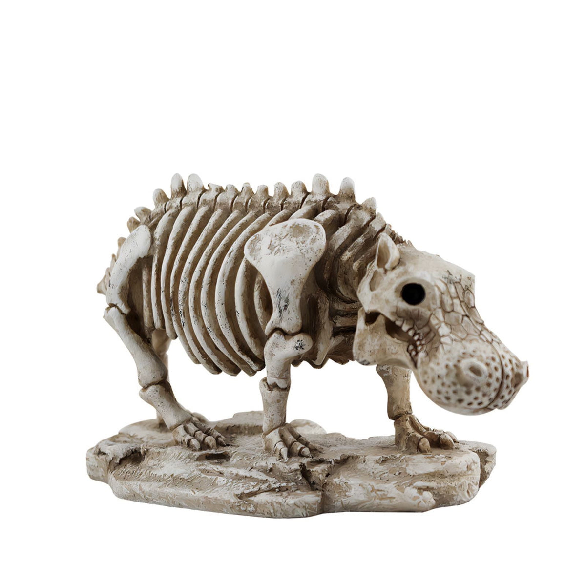 Halloween Skeleton Snake Prop Realistic Scary Serpent Decorative Ornament, Spooky Scene Setup Skeleton Decor Haunted House Party Prop, Home Shop Display Halloween Skeleton Holiday Ornament Gift
