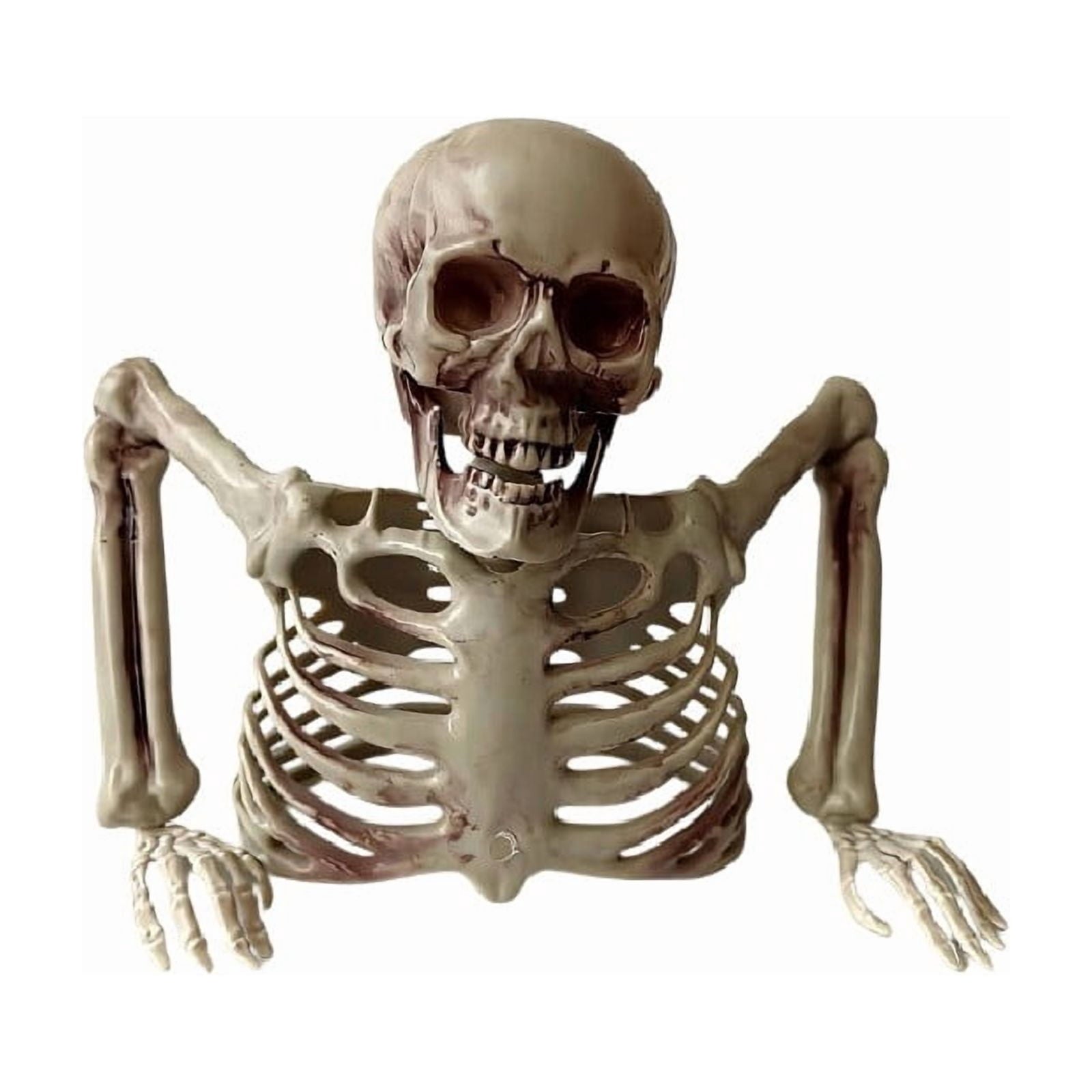 Halloween Skeleton Snake Prop Realistic Scary Serpent Decorative Ornament, Spooky Scene Setup Skeleton Decor Haunted House Party Prop, Home Shop Display Halloween Skeleton Holiday Ornament Gift