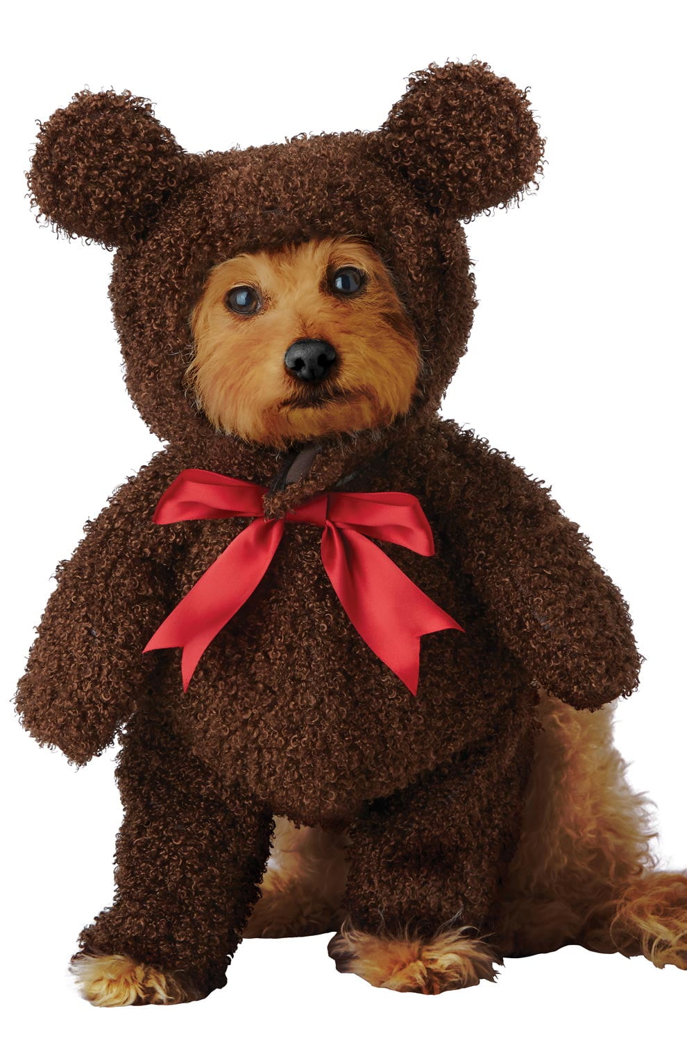 California Costumes Teddy Bear Dog Costume Large Unisex
