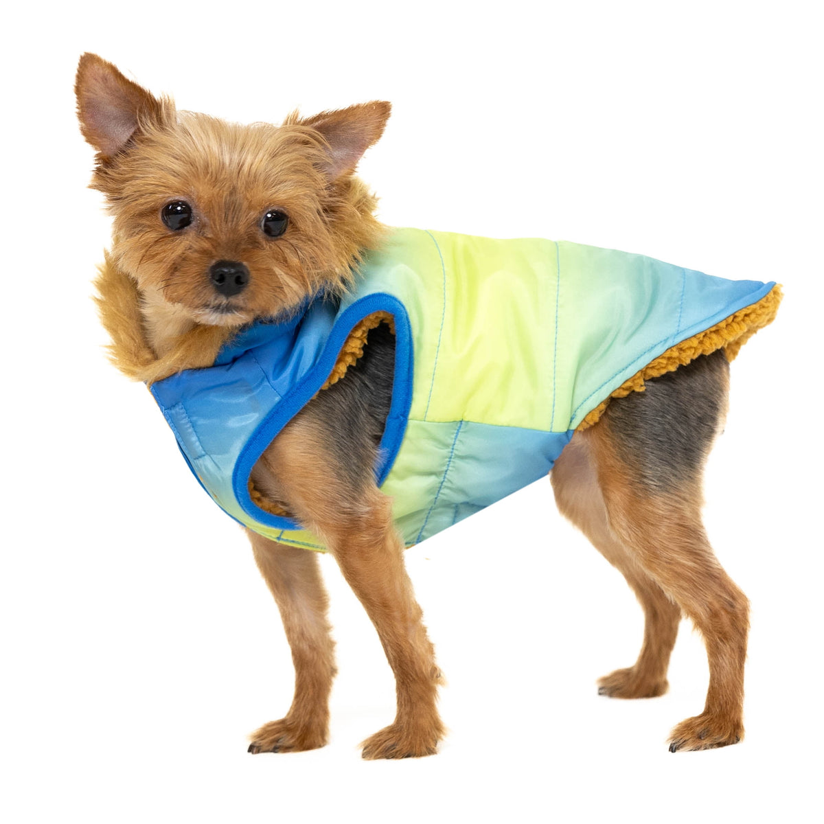 Vibrant Life Pet Hooded Jacket, Blue Ombre, S
