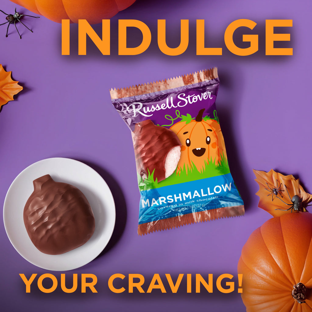 RUSSELL STOVER Halloween Dark Chocolate Coconut Crème Pumpkin, 1.3 oz. (Pack of 18)