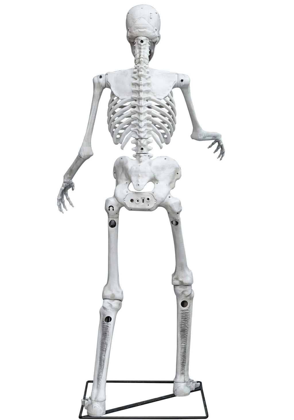 5FT Animated Skeleton Decoration