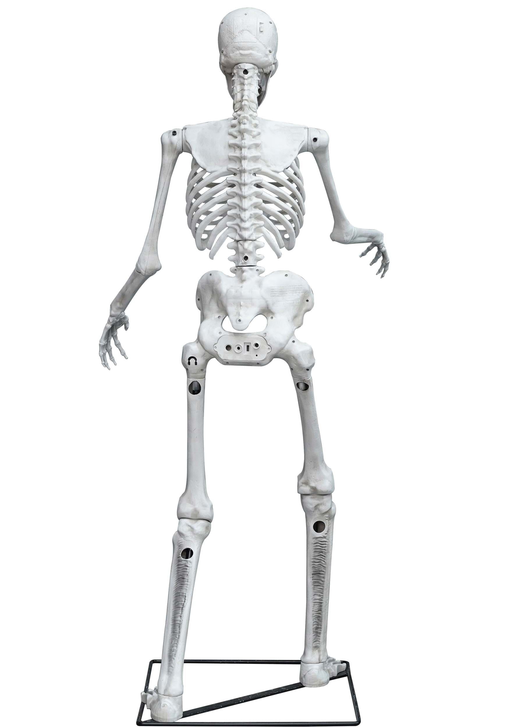 5FT Animated Skeleton Decoration
