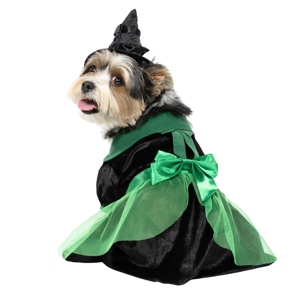 Vibrant Life Halloween Bad Witch Costume for Dogs, Green and Black, Extra Large