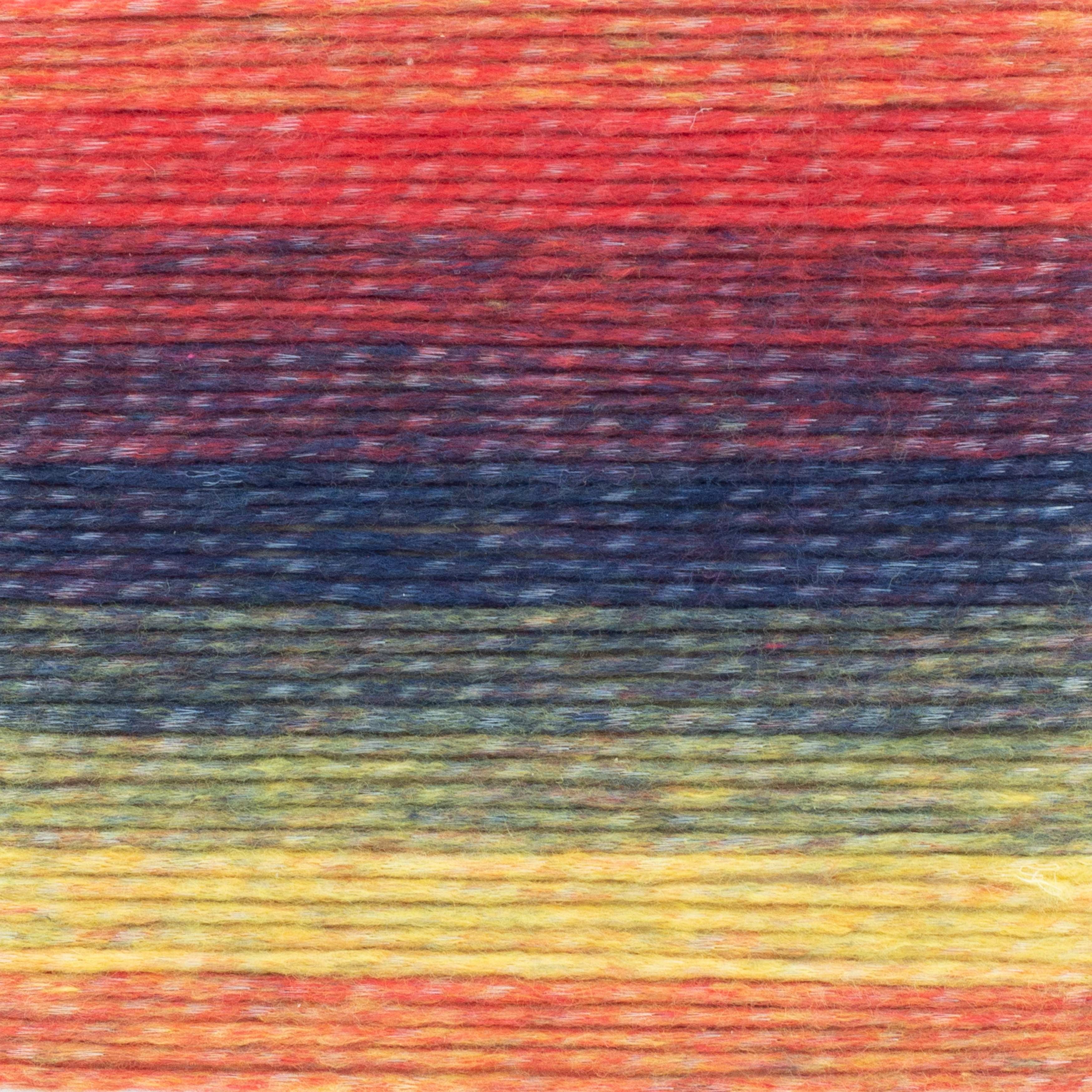 Lion Brand Landscapes Renewed Fiesta 542-213T Soft Recycled Yarn