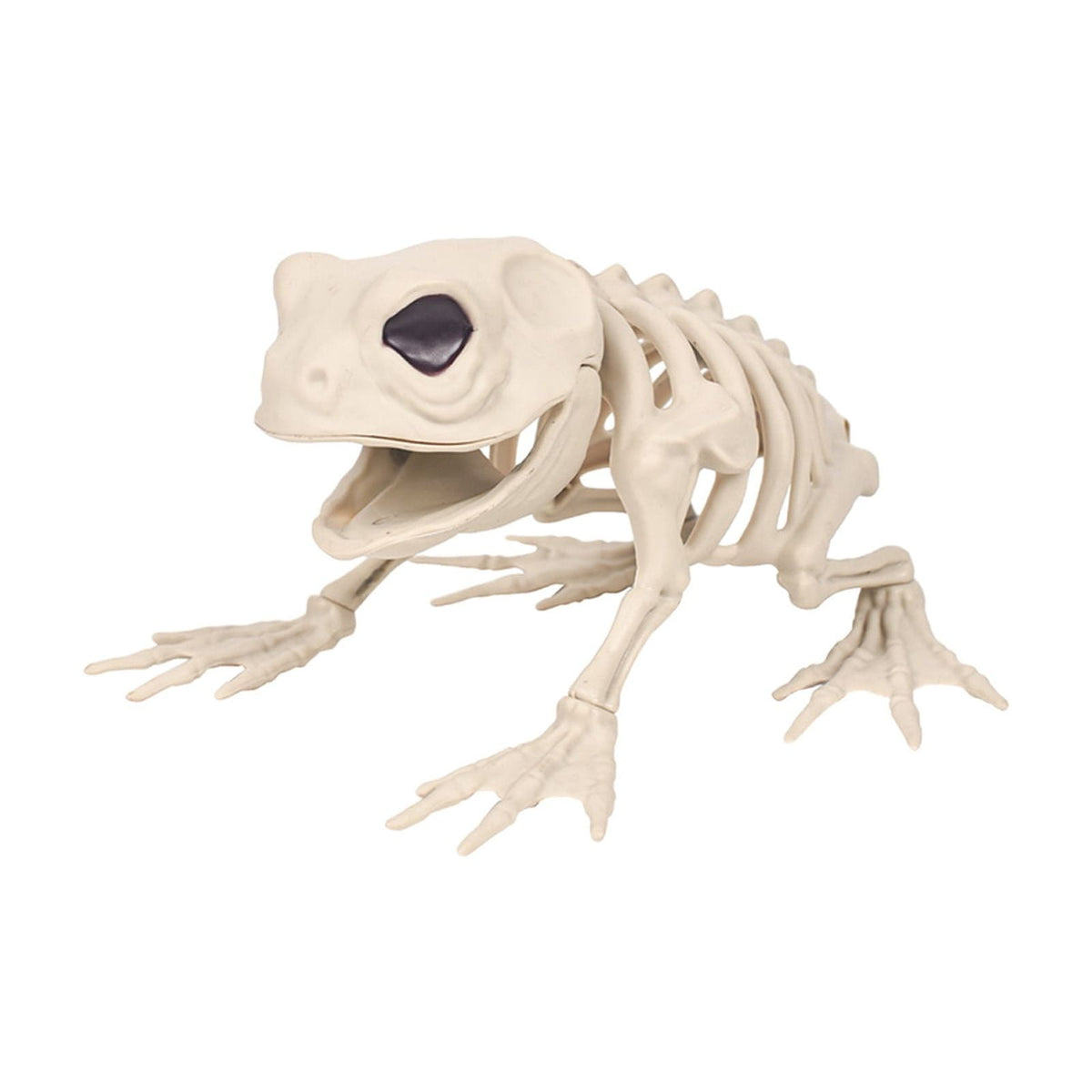 Cififendec Mini Frog Halloween Animal Skeletons Standing Full Body Animal Skeleton Decorations for Indoor Outdoor Room Party Props