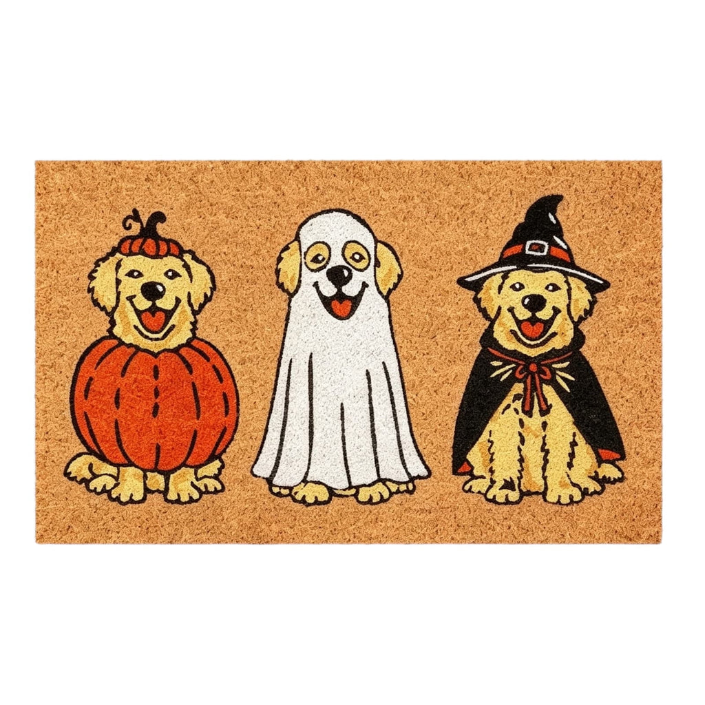 Duck Doormat Outdoor 24'', Rustic Front Door Mat for Entryway, 1 PC
