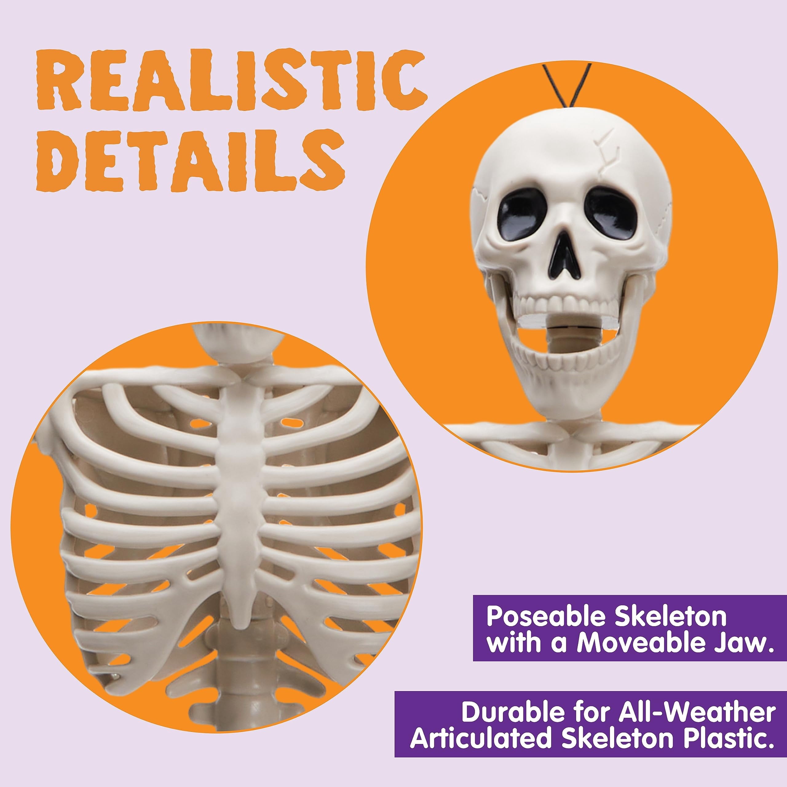 Joyfy 5 Pcs Halloween Skeleton Decorations,16 inch Full Body Poseable Skeleton with Movable Joints for Halloween Indoor Outdoor Party,Graveyard,Haunted House Accessories,White