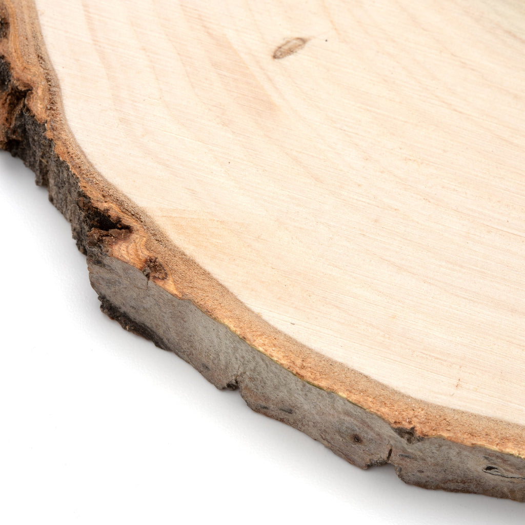 Hello Hobby Poplar 7" Round Rustic Wood Slice with Bark