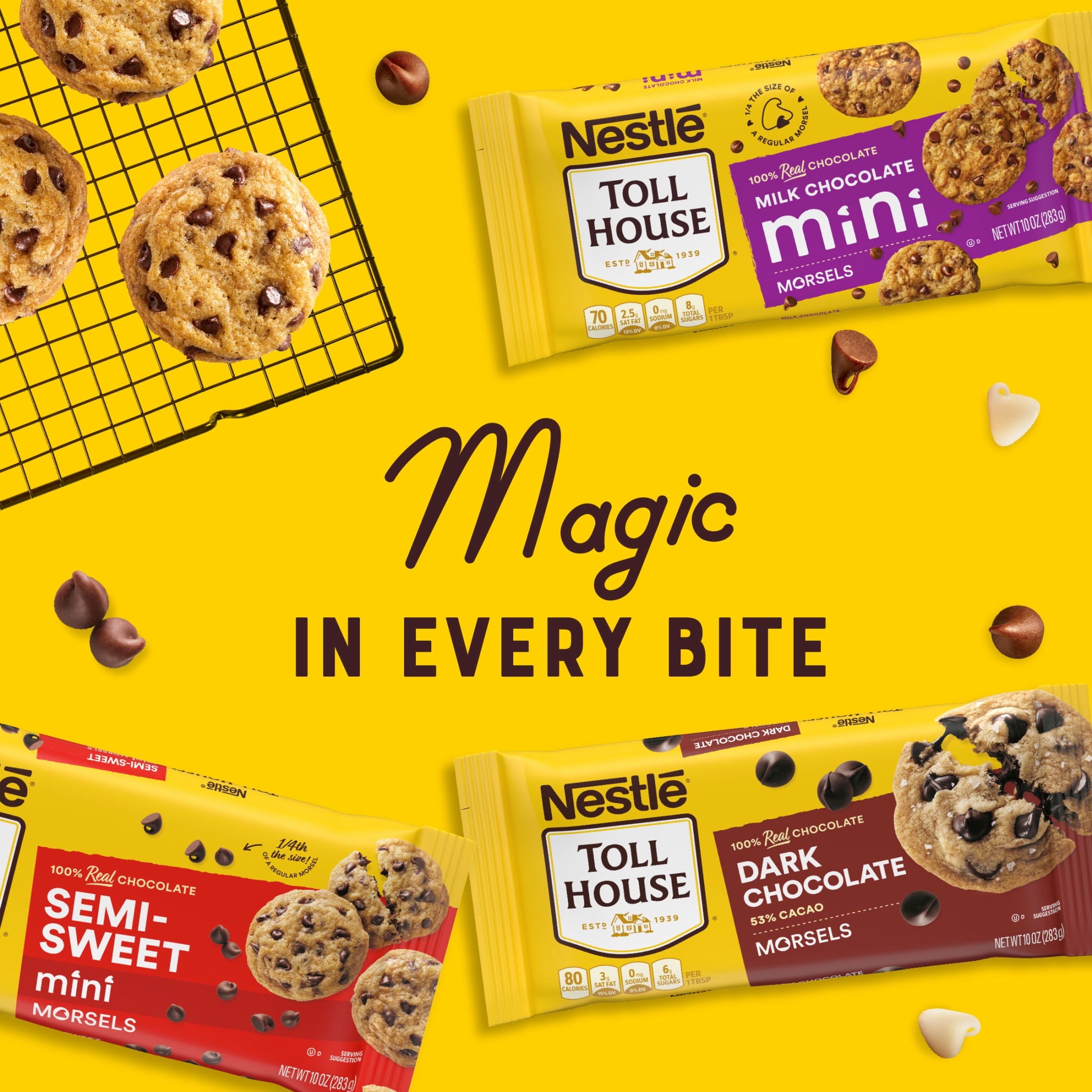 Nestle Toll House Semi Sweet Chocolate Mini Regular Baking Chips, 10 oz Bag