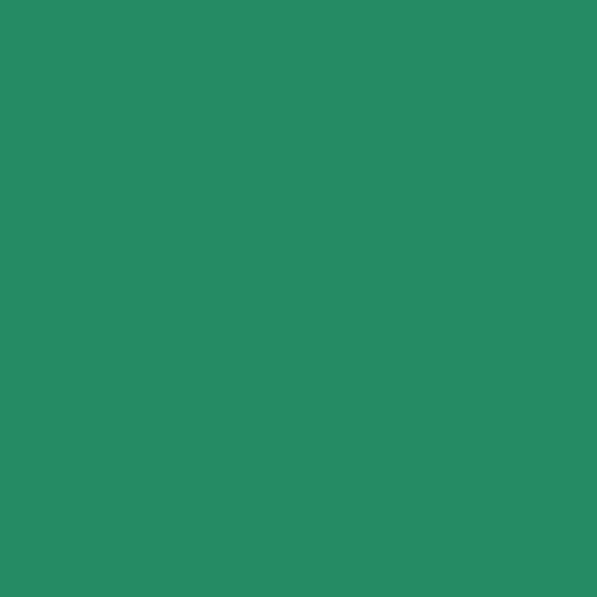 FolkArt Acrylic Craft Paint, Matte Finish, Wicker White, 2 fl oz