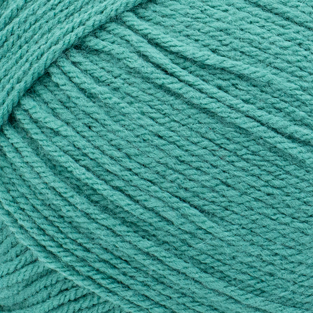 Lion Brand Yarn Pound of Love Pastel Green 4 Medium Worsted Yarn Green 16 oz 1020 yards