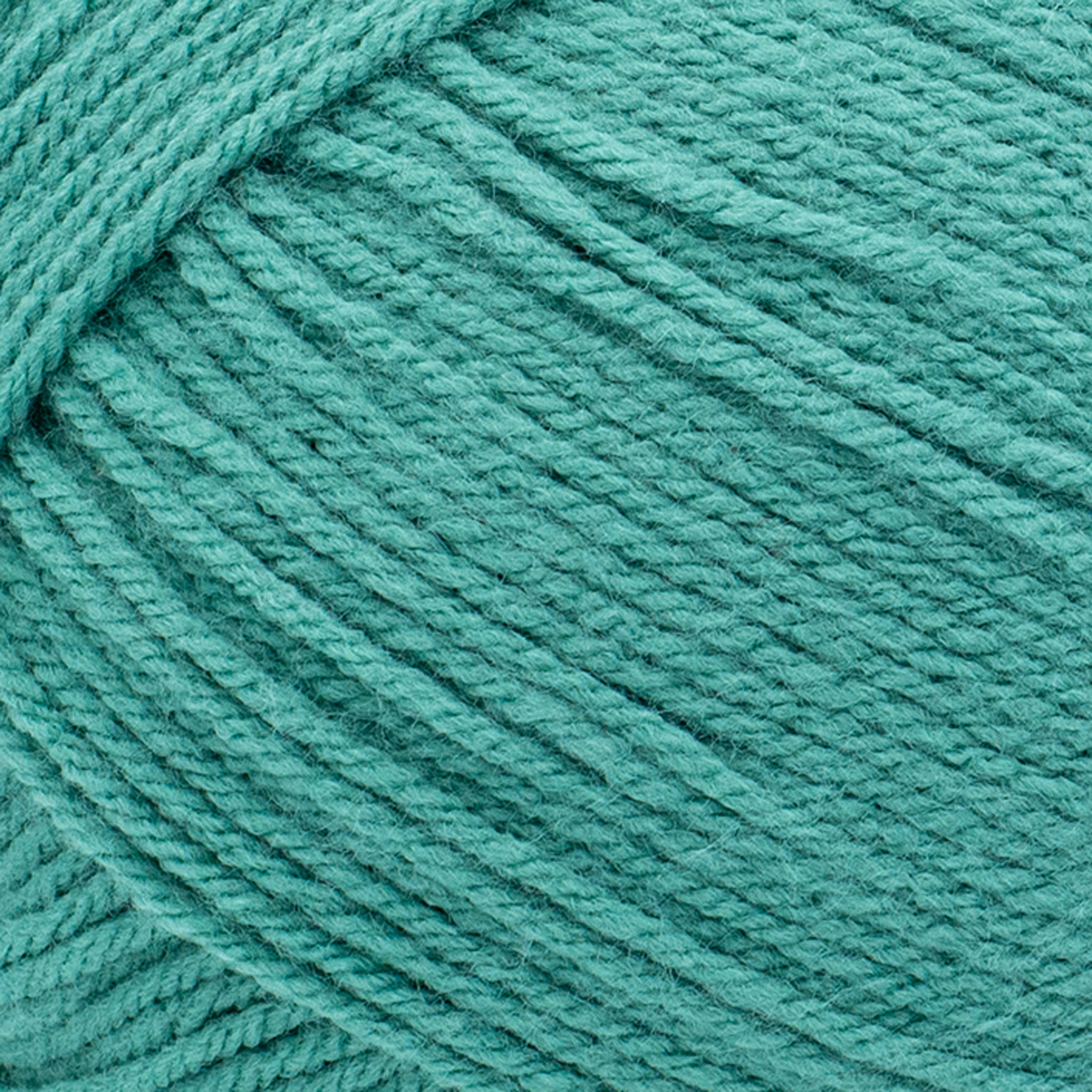 Lion Brand Yarn Pound of Love Pastel Green 4 Medium Worsted Yarn Green 16 oz 1020 yards
