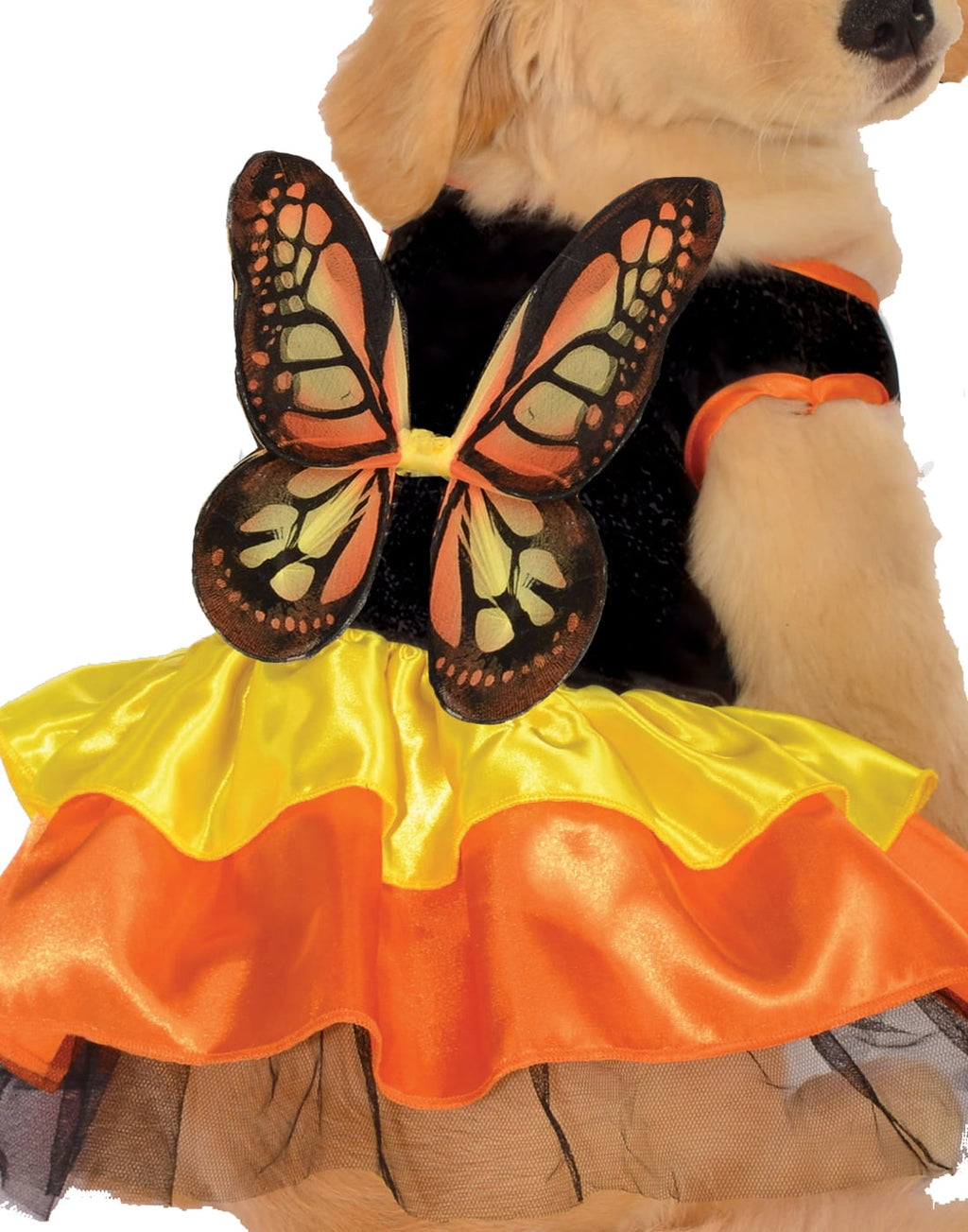 Rubies Monarch Butterfly Pet Costume for Dogs or Cats, Small