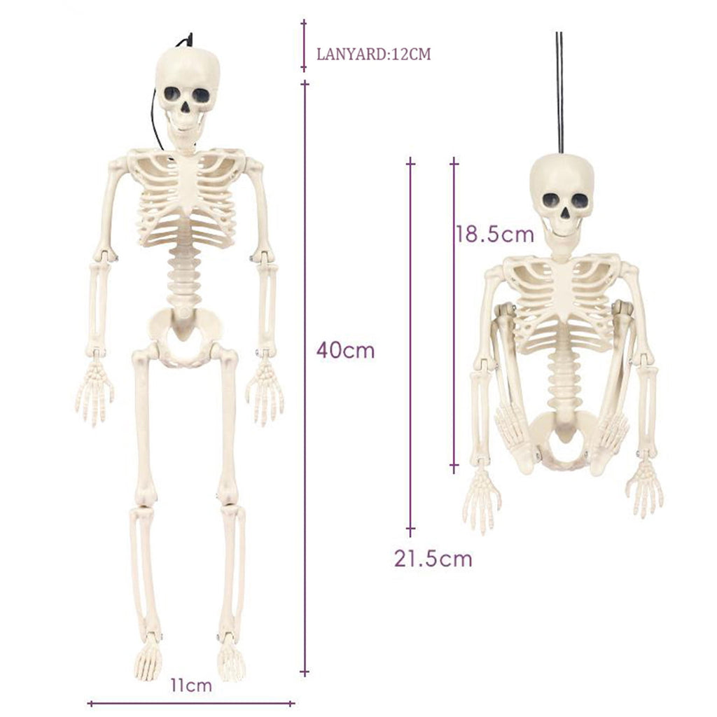 Qocolhg Halloween Posable Skeletons, Full Body Human Skeleton with Movable Joints for Halloween Haunted House Graveyard Party Scary Decor
